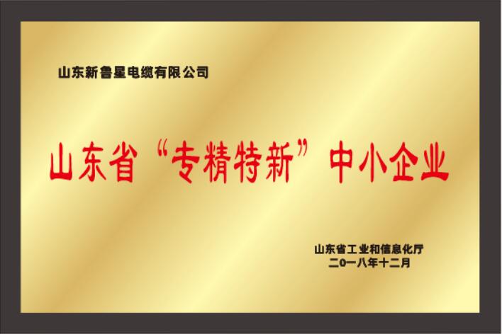 山東省專(zhuān)精特新中小企業(yè)